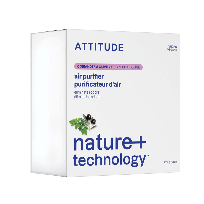 Purificateur d'air au charbon actif : Nature+