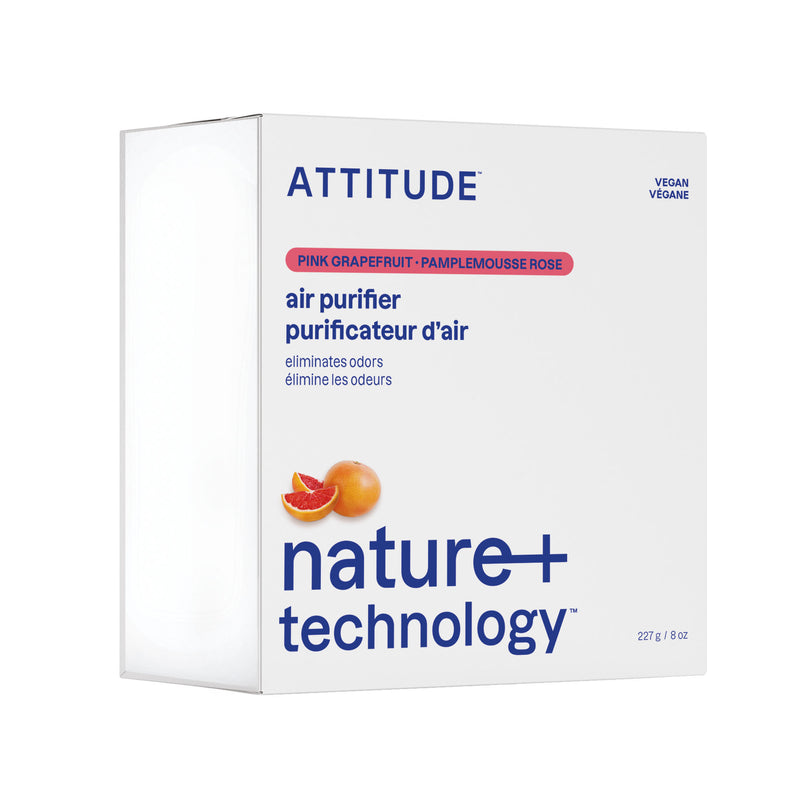 Purificateur d'air au charbon actif : Nature+