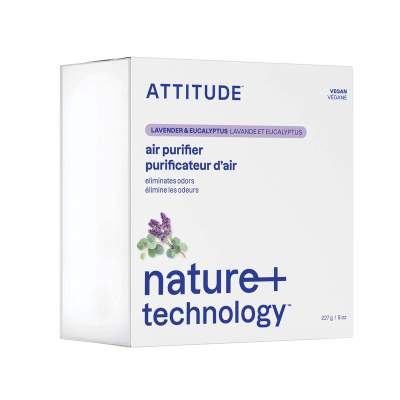 Purificateur d'air au charbon actif : Nature+